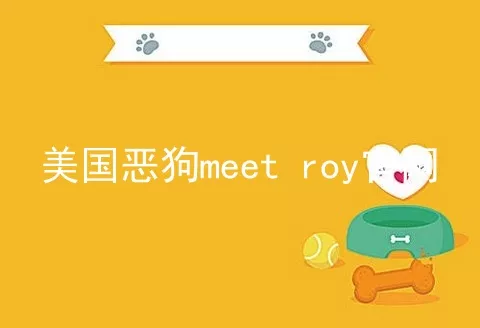 美国恶狗meet roy官网