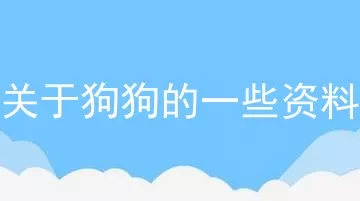 关于狗狗的一些资料