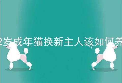 2岁成年猫换新主人该如何养