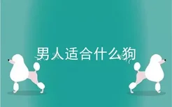 男人适合什么狗