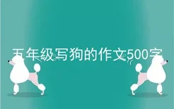 五年级写狗的作文500字