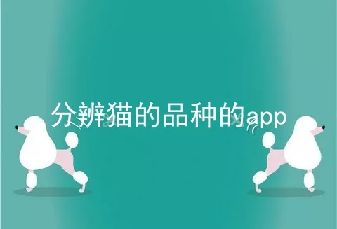 分辨猫的品种的app