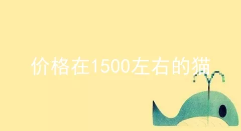 价格在1500左右的猫