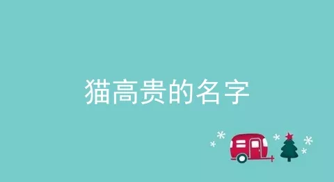 猫高贵的名字