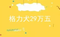 格力犬29万五