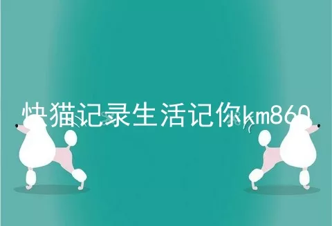 快猫记录生活记你km860