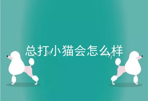 总打小猫会怎么样