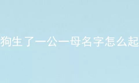 狗生了一公一母名字怎么起