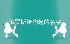 俄罗斯给狗起的名字