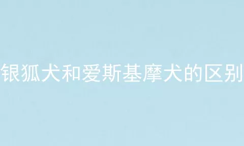 银狐犬和爱斯基摩犬的区别