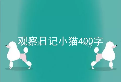 观察日记小猫400字