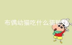 布偶幼猫吃什么猫粮好