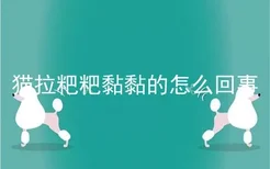 猫拉粑粑黏黏的怎么回事