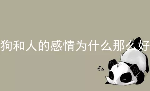 狗和人的感情为什么那么好