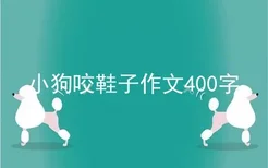 小狗咬鞋子作文400字