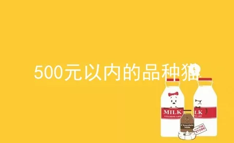 500元以内的品种猫