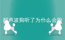 超声波狗听了为什么会跑