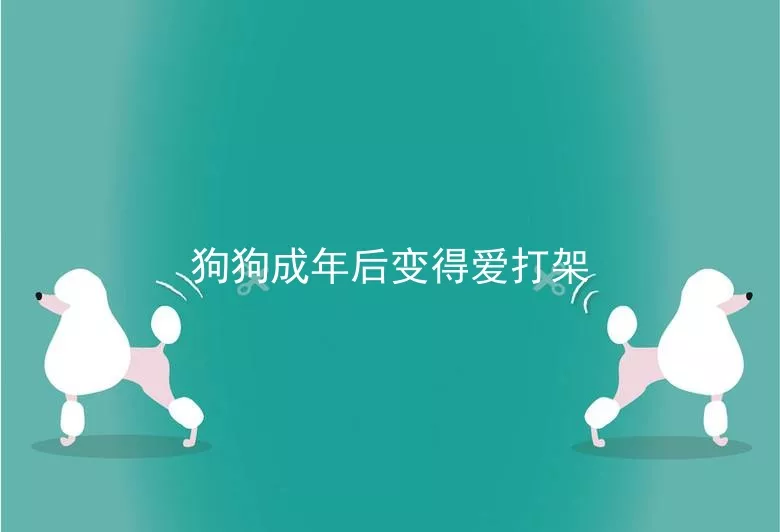 狗狗成年后变得爱打架