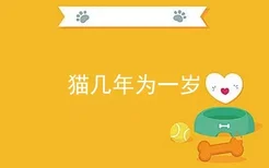 猫几年为一岁