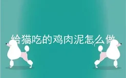 给猫吃的鸡肉泥怎么做