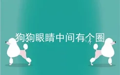 狗狗眼睛中间有个圈