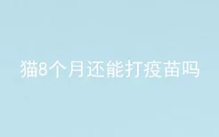 猫8个月还能打疫苗吗