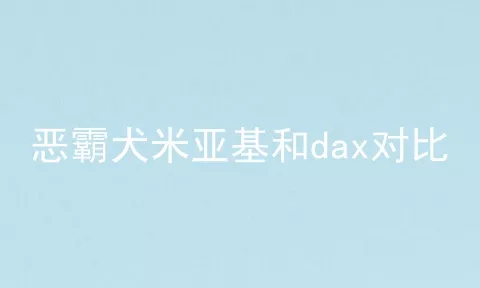 恶霸犬米亚基和dax对比