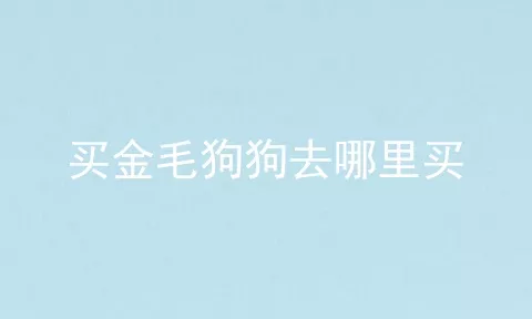 买金毛狗狗去哪里买