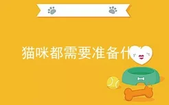 猫咪都需要准备什么