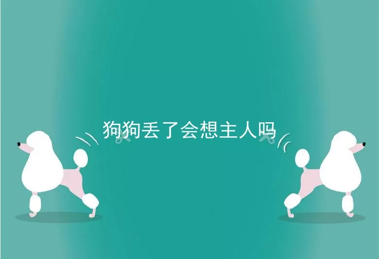 狗狗丢了会想主人吗