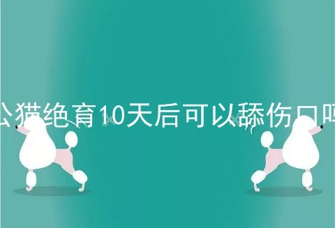 公猫绝育10天后可以舔伤口吗