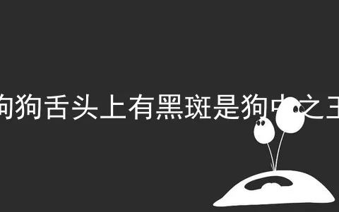 狗狗舌头上有黑斑是狗中之王