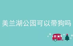 美兰湖公园可以带狗吗