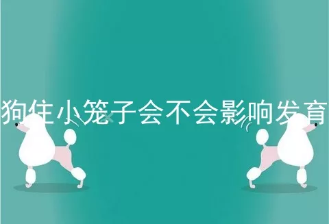 狗住小笼子会不会影响发育