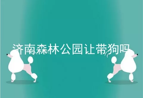 济南森林公园让带狗吗