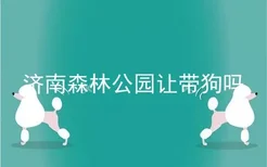 济南森林公园让带狗吗