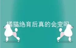 橘猫绝育后真的会变吗