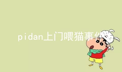 pidan上门喂猫事件