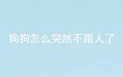 狗狗怎么突然不跟人了