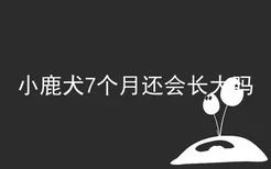 小鹿犬7个月还会长大吗