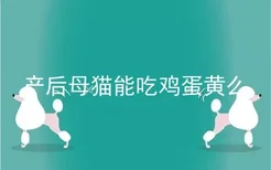 产后母猫能吃鸡蛋黄么