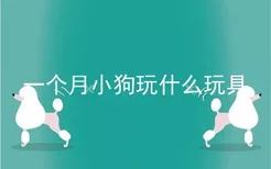 一个月小狗玩什么玩具