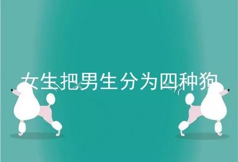 女生把男生分为四种狗