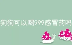 狗狗可以喝999感冒药吗