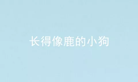 长得像鹿的小狗