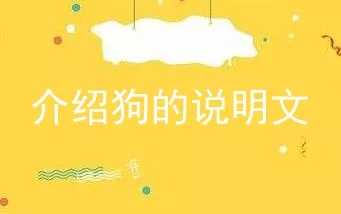 介绍狗的说明文