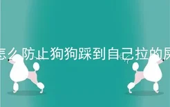 怎么防止狗狗踩到自己拉的屎