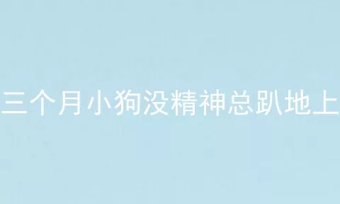 三个月小狗没精神总趴地上