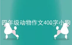 四年级动物作文400字小狗