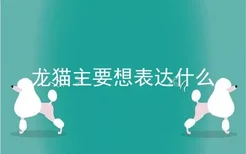 龙猫主要想表达什么